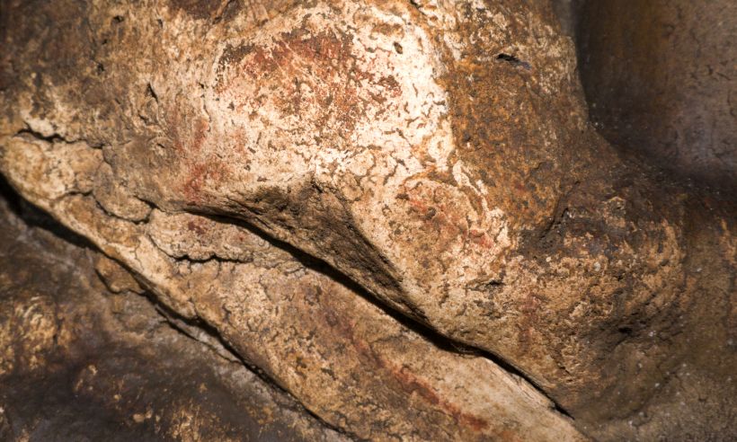 Romualdo Höhlenmalerei Bisonzeichnung Normalansicht