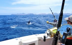 Angler beim Fischen im Salzwasser - Angelschein für Kroatien - Angeln im Meer