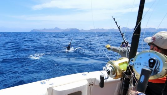 Angler beim Fischen im Salzwasser - Angelschein für Kroatien - Angeln im Meer