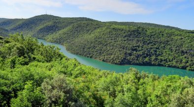 Fluss Mirna in Istrien - Fischfang im Fluss - Binnengewässer Seen und Flüsse