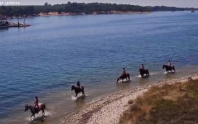 Ausflug mit Pferden am Wasser mit dem Horse Centar Lanterna