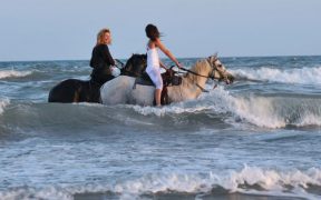 Zwei Frauen und ihre Pferde im Meer - Reiten in Istrien