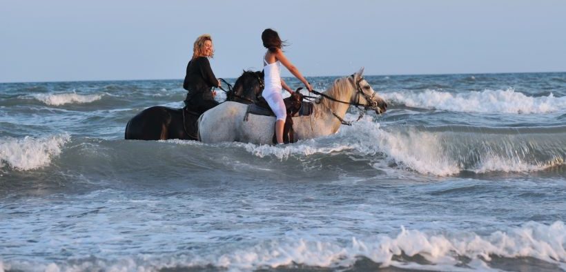 Zwei Frauen und ihre Pferde im Meer - Reiten in Istrien