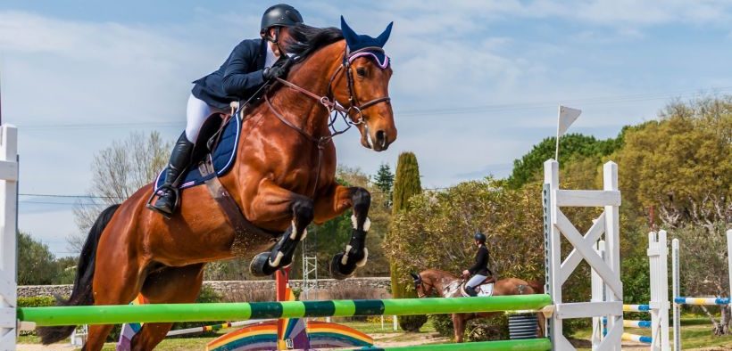 Pferd und Reiter beim Sprungreiten im Wettkampf - Reiten in Zagreb