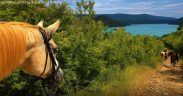Pferde mit Aussicht beim Reiten in Labin - Liska Adventure Riding & Istra Horse Trekking