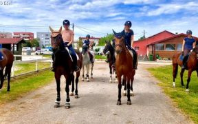 Pferde und Reiterinnen vom Konjički Klub Edek in Zagreb