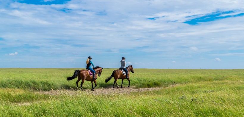 Pferdeliebhaber beim Offroad-Ausritt auf grüner Wiese - Reiten in Slawonien