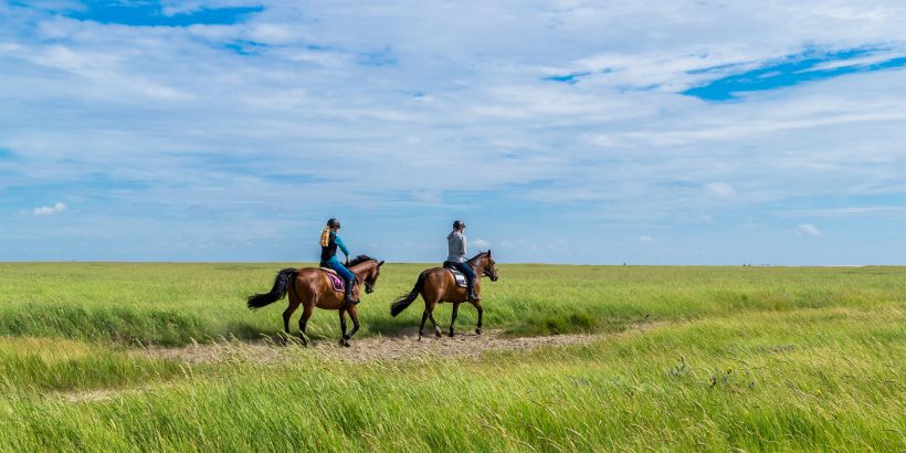 Pferdeliebhaber beim Offroad-Ausritt auf grüner Wiese - Reiten in Slawonien