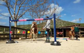 Pony beim Geschicklichkeitstraining im Konjički Klub Kolan - Happy Horse Farm in Šibenik
