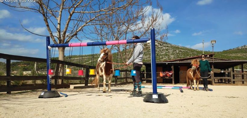 Pony beim Geschicklichkeitstraining im Konjički Klub Kolan - Happy Horse Farm in Šibenik