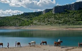 Equestrian Club Split mit Pferden zur Trinkpause am Wasser vor Bergkulisse