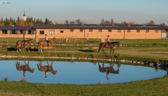 Reiter spiegeln sich im Teich vor dem Pferdehof Ranč Ramarin in Slawonien