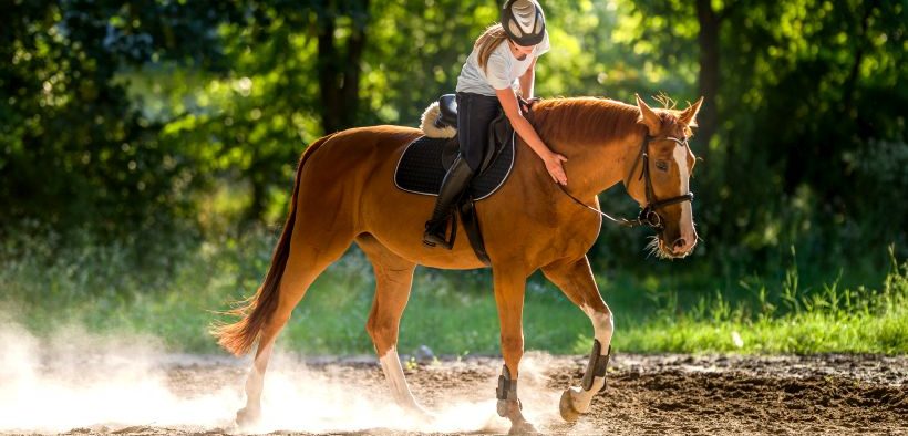Reiterin und ihr Pferd beim Reiten in Karlovac - Lika