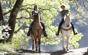 Zwei Reiterinnen auf ihren Pferden vom Konjički klub Trajbar unterwegs im von der Sonne durchfluteten Wald