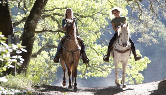Zwei Reiterinnen auf ihren Pferden vom Konjički klub Trajbar unterwegs im von der Sonne durchfluteten Wald