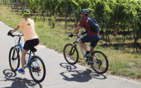 Familienfreundliche Radtouren in Istrien