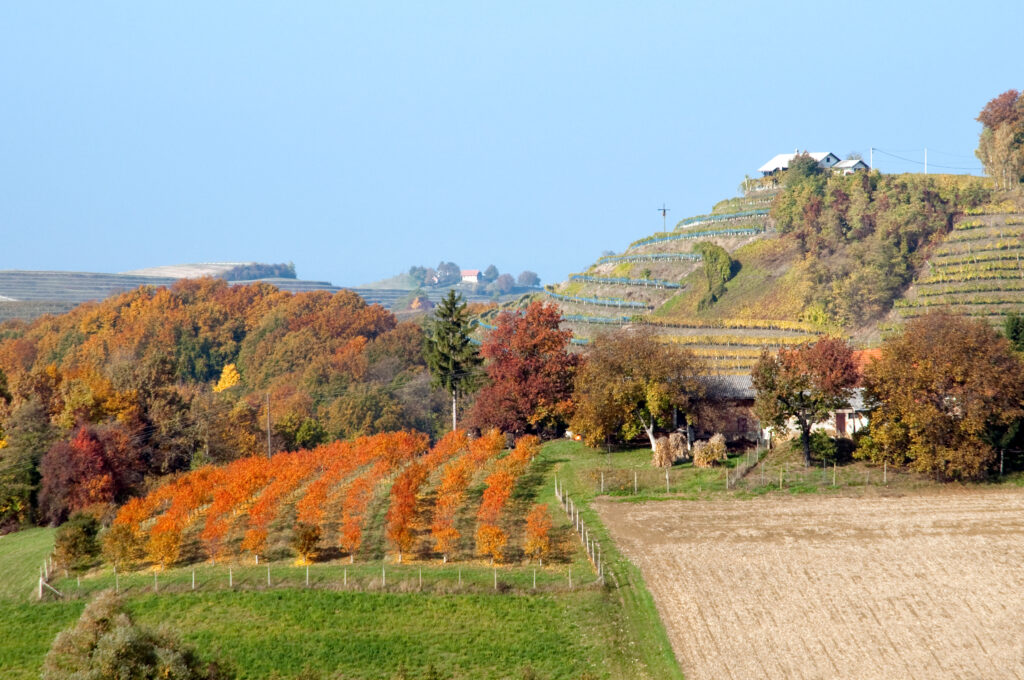 Schlossgut Tkalec