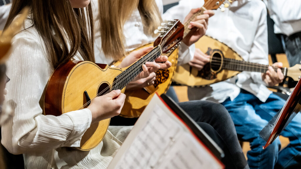 Museum Bećarac in Pleternica