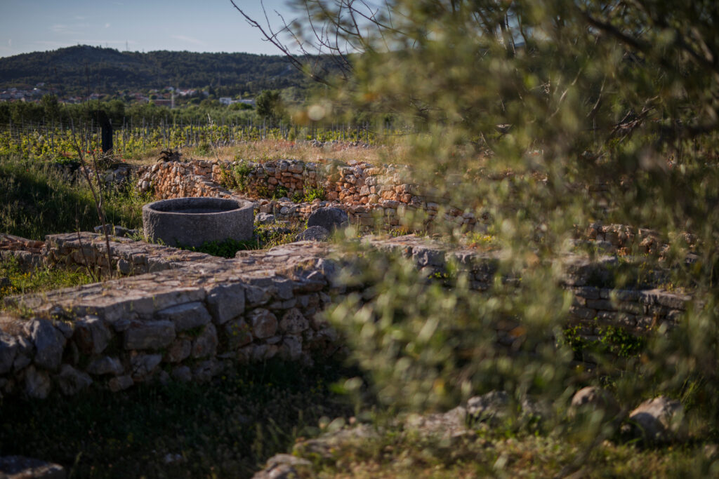 Archäologische Ausgrabungen Kupinovik - Stari Grad auf Hvar