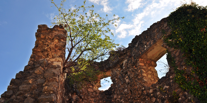 Festung Topana
