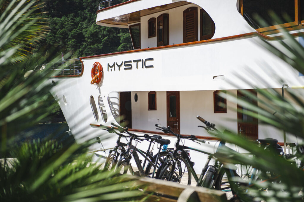 MY Mystic, I.D. Riva Tours