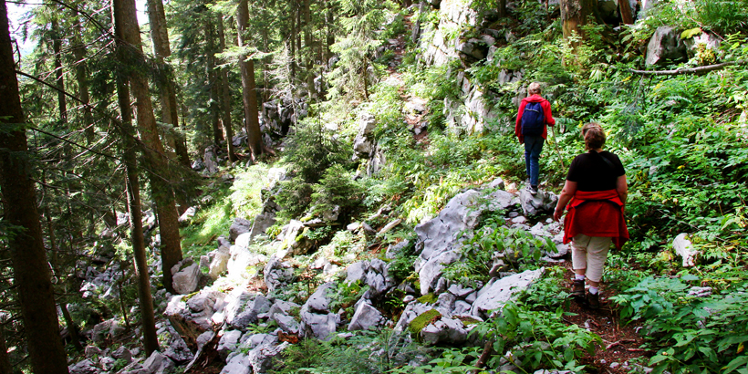 Waldbaden in der Kvarner-Region