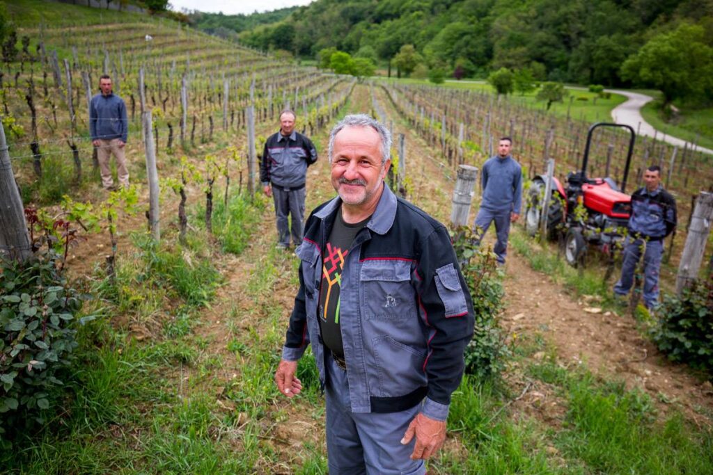 Preisgekrรถntes Weingut in Buje
